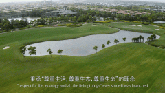 东滩海上明月楼盘百科（手机客户端）